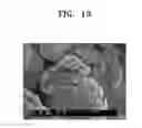 Fig. 15 - Positive active material, positive electrode including the same, and lithium secondary battery including the positive electrode
