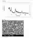 Fig. 11 - Nickel-manganese composite oxyhydroxide, its production method, and its application