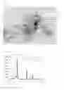 Fig. 02 - Oxygen reduction catalyst, uses thereof and production process therefor
