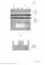 Fig. 06 - Fuel cell single cell