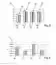 Fig. 04 - Membrane electrode assembly for a fuel cell, method for preparing the membrane electrode assembly, fuel cell system and vehicle
