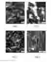 Fig. 02 - Process for preparing an ion-exchange composite material comprising a specific polymer matrix and a filler consisting of ion-exchange particles