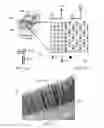 Fig. 02 - ELECTROLYTE MEMBRANE