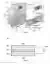 Fig. 06 - ELECTROLYTE MEMBRANE