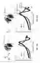 Fig. 10 - Flat optics enabled by dielectric metamaterials