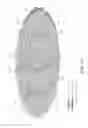 Fig. 04 - Satellite-based phased array calibration