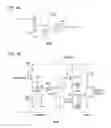 Fig. 05 - Lighting circuit and lamp system