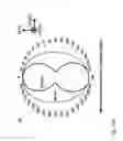 Fig. 23 - Structure and method for the fabrication of a gallium nitride vertical cavity surface emitting laser