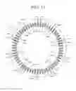 Fig. 11 - Rotary electric machine
