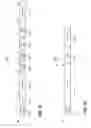 Fig. 05 - Signal fields in a high efficiency wireless local area network (WLAN) data unit