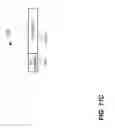 Fig. 14 - Signal fields in a high efficiency wireless local area network (WLAN) data unit