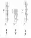 Fig. 34 - Signal fields in a high efficiency wireless local area network (WLAN) data unit