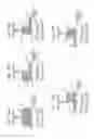 Fig. 18 - Wireless communication device and wireless communication method