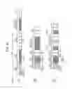 Fig. 24 - Wireless communication device and wireless communication method