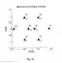 Fig. 10 - CODING AND MODULATION APPARATUS USING NON-UNIFORM CONSTELLATION