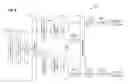 Fig. 06 - Pilot sequence design for long range WLAN