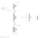 Fig. 02 - System and method for detecting active streams using a heartbeat and secure stop mechanism