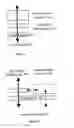 Fig. 06 - Position parameterized recursive network architecture with topological addressing
