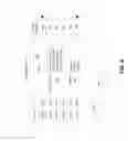 Fig. 07 - Access Revocation