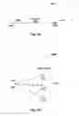 Fig. 06 - System and methods for malware detection using log analytics for channels and super channels