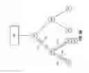 Fig. 11 - CONTENT PLACEMENT IN AN INFORMATION CENTRIC NETWORK