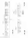 Fig. 13 - Physical layer frame format for WLAN