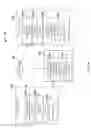 Fig. 04 - Outgoing Media Message Management