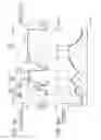 Fig. 07 - Image forming apparatus