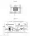 Fig. 12 - IMAGE-CAPTURING DEVICE AND IMAGE-CAPTURING METHOD