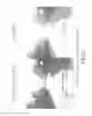 Fig. 09 - Method and apparatus for automatic prediction of dynamic exposure