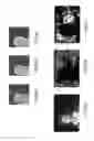 Fig. 05 - Enriched digital photographs