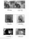 Fig. 08 - Enriched digital photographs