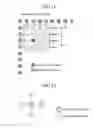 Fig. 11 - Image encoding device, image decoding device, image encoding method, and image decoding method for generating a prediction image