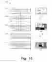Fig. 15 - Immersive scaling interactive television