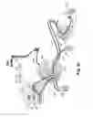 Fig. 10 - Moving cellular communication system operative in an emergency mode
