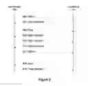 Fig. 09 - CONNECTION CREATION