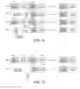 Fig. 06 - Collaborative OBSS interference mitigation for wireless communication systems