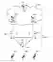 Fig. 01 - Communication control method, base station, and user terminal, for performing D2D communication