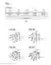 Fig. 02 - Method of coordinating a communication network