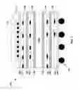 Fig. 08 - Reduced-warpage laminate structure