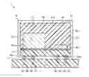 Fig. 01 - ELECTRONIC DEVICE MODULE HAVING A SHIELD LAYER