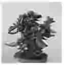Fig. 01 - Crassula plant named Crasmada