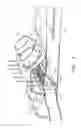 Fig. 04 - Selective fan shaped material distributor