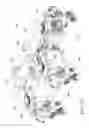 Fig. 33 - Foliage holding
