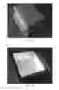 Fig. 21 - PLANT AND GARDEN GROWING SYSTEM