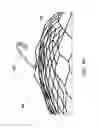 Fig. 06 - FRUIT AND VEGETABLE CAGE