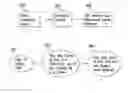 Fig. 01 - Videos for pets and methods for the creation thereof