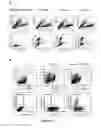 Fig. 10 - Transgenic non-human mammal for producing chimeric human immunoglobulin E antibodies