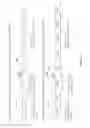 Fig. 03 - Non-human animals having a humanized cluster of differentiation 47 gene