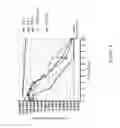 Fig. 09 - Non-human animals having a humanized cluster of differentiation 47 gene
